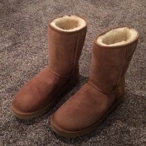 Short Chestnut Uggs